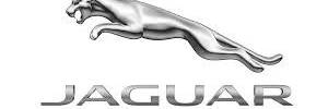 Jaguar gyártó kép