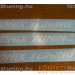Matrica tuning FX36 kép