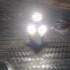 SMD led 505012V termék kép